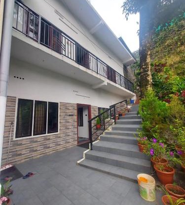 Home Stay Green pepper