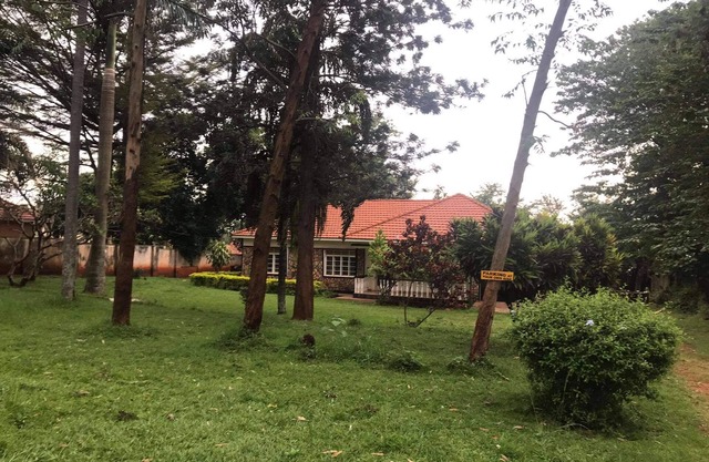 Home stay studio 62 guesthouse