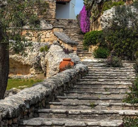 Home Village a mare