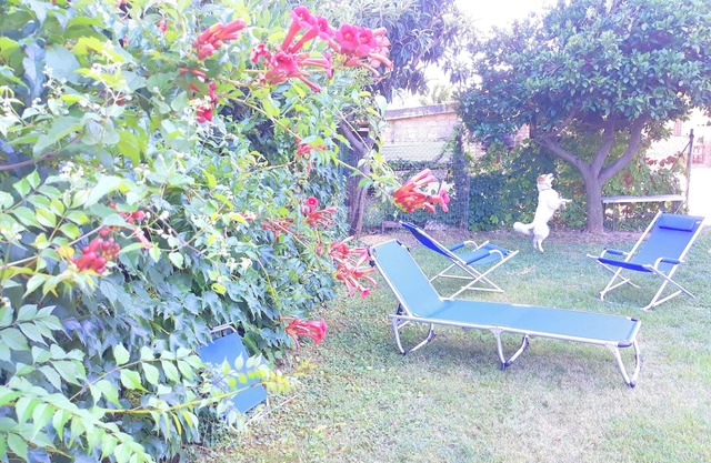 Homerez - Apartamento en Canosa Sannita