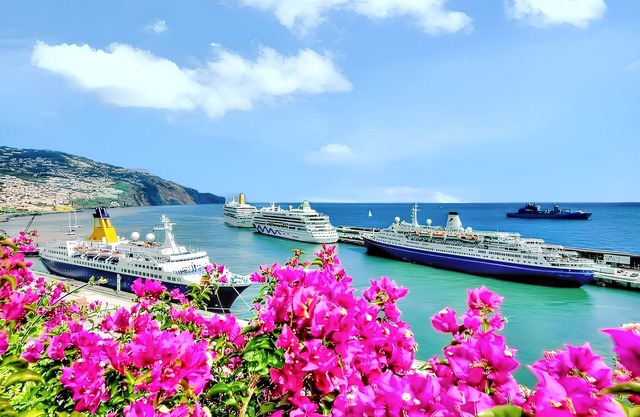 Homerez - Appto Funchal balcón vista