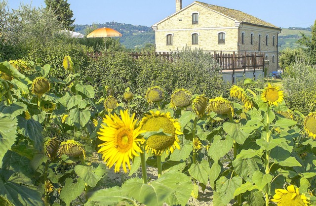Homerez - Grande villa para 20 pers. con piscina en Montecarotto