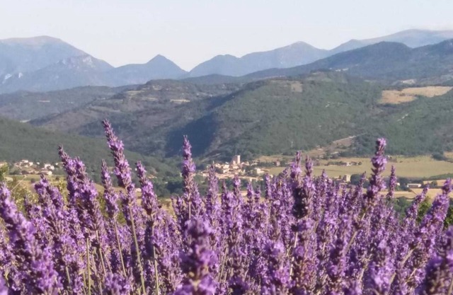 Homerez - Casa en Sainte-Jalle