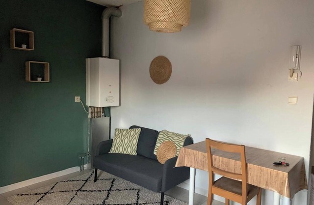 Homerez - Estudio en Saint-Nicolas, vista ciudad