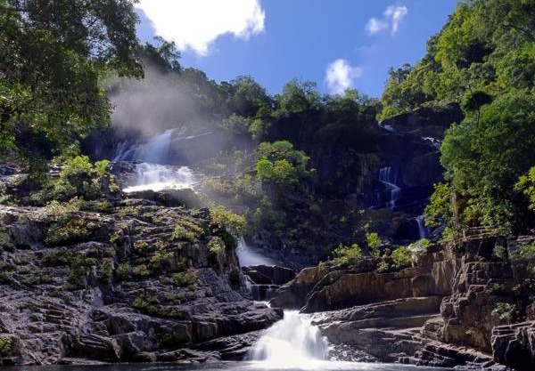 HomeRule Rainforest Lodge Campgrounds