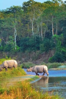 Homestay and Trip Organiser