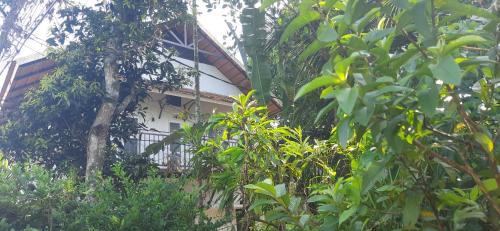 Homestay DGH