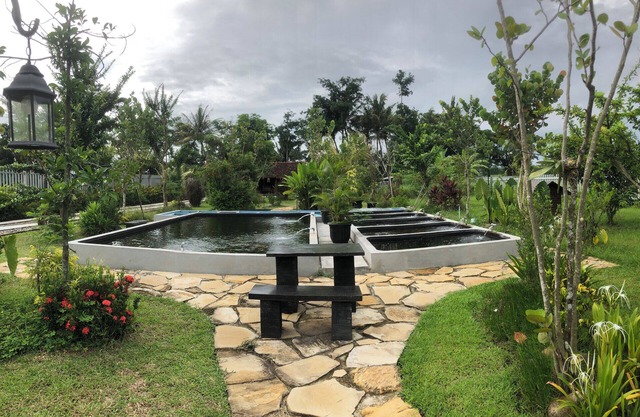 Homestay Omah Embun