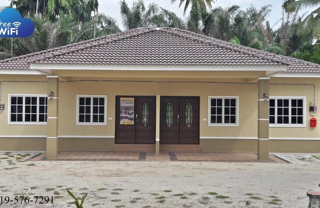 Homestay selinsing