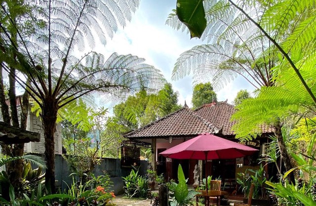 Homestay Sente