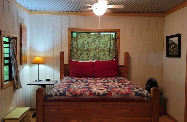 Homestead Cabin in the Ozarks, w/ a view!