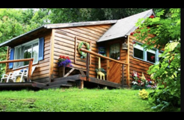 Homestead cabin