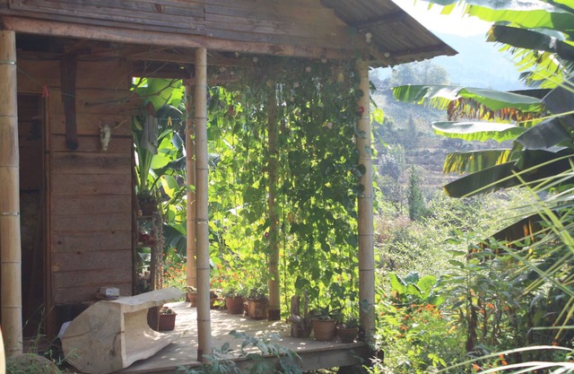 Honey Dreams - Casa de hadas entre las verdes colinas