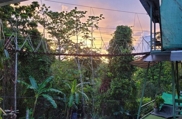 Tarzan Honeymoon Treehouse - Disfrute del atardecer, A / C, piscina, tirolesas