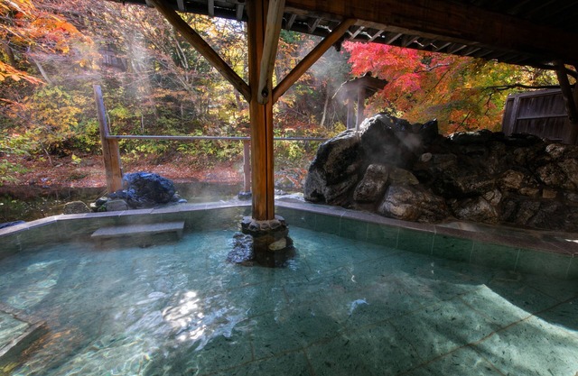 Honke Bankyu