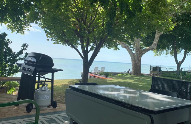 "Hook, Line,& Sinker"- At the edge of Erie; 7 days stay plus 1 chartering free
