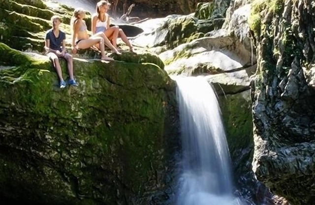 Caballos, lago de baño, Mozart, otoño dorado, cerca de la ciudad, central, 5 personas, montañas, Salzburgo