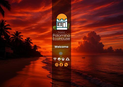 Hostal Palomino EcoHouse & Camping