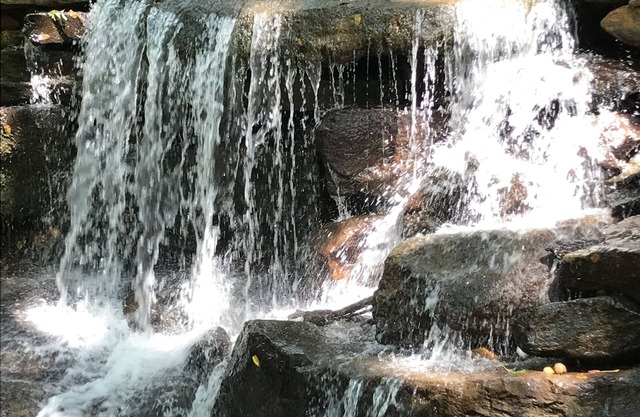 Vista a la cascada, bañera de hidromasaje, Se aceptan mascotas, 4 huéspedes - Cabaña Brett's Falling Waters