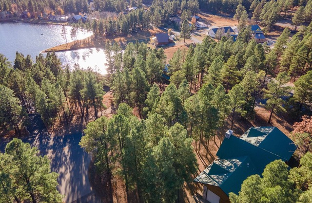 Hot tub, Gorgeous Cabin, Great for Families