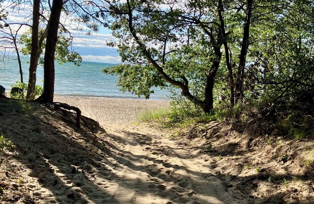 Hot Tub, pristine beach access, 2-bdrm cottage with AC, WiFi near Port Austin #2