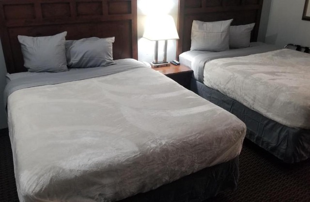 Hotel 2 Queen Beds Hotel Room 135 Booking