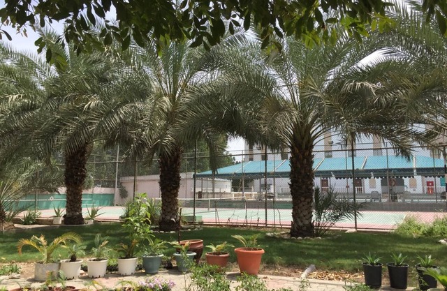 Hotel Al Madinah Holiday