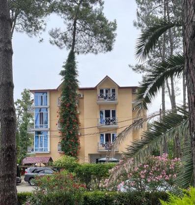 Hotel albatros shekvetili