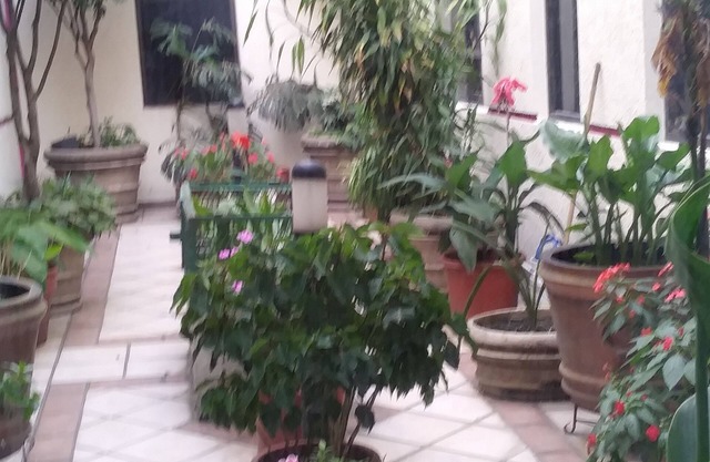 Hotel Ambar