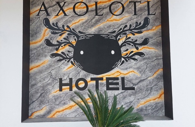Hotel Axolotl