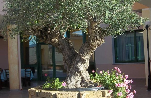 Hotel Baia Marina