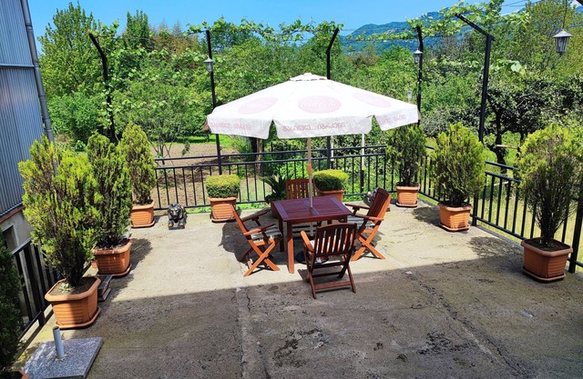 Hotel Botanica