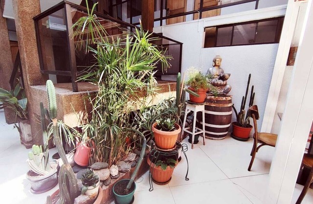 HOTEL CANO
