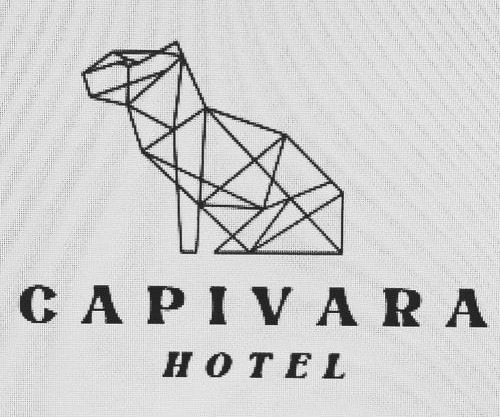 Hotel Capivara