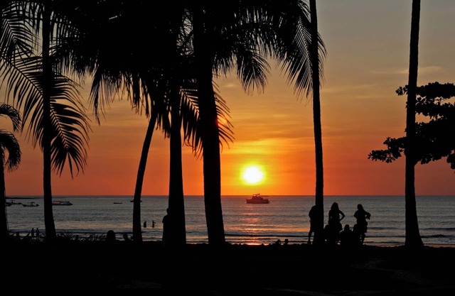 Hotel Carlota Tamarindo