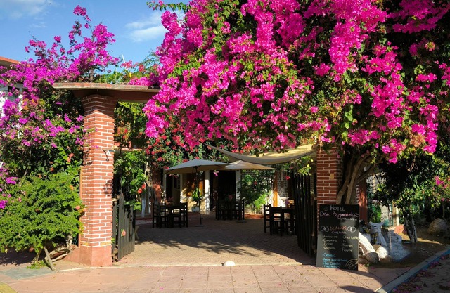 Hotel Casa Bugambilias