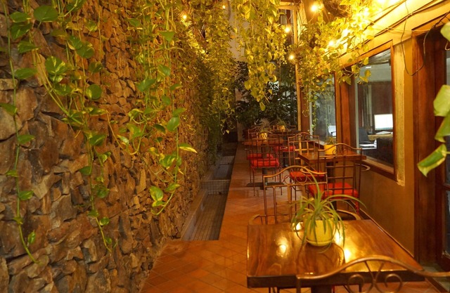 Hotel Casa del Arbol