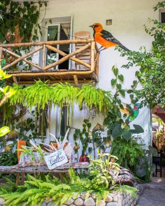Hotel Casa Lasibe Café