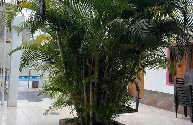 Hotel Casa Mathilu
