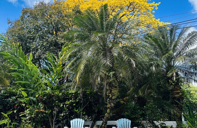 Hotel Colibri