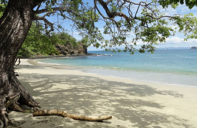 Hotel Colono Beach
