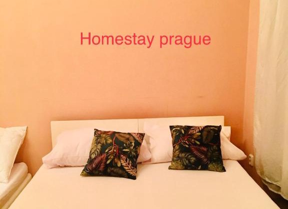 Hotel flat in Centre Prague 2