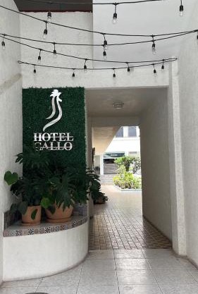 Hotel Gallo