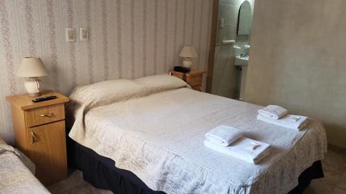Hotel Geminis