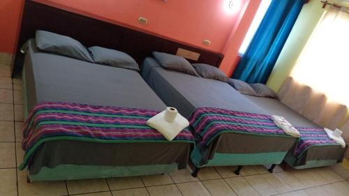 Hotel Green Monkey