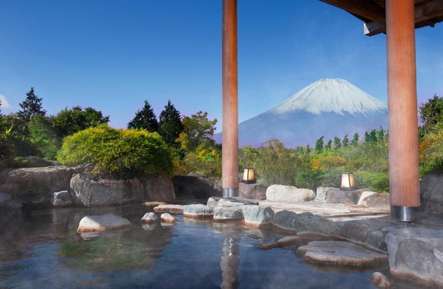 Hotel Green Plaza Hakone