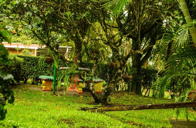 Hotel Holístico Monteverde