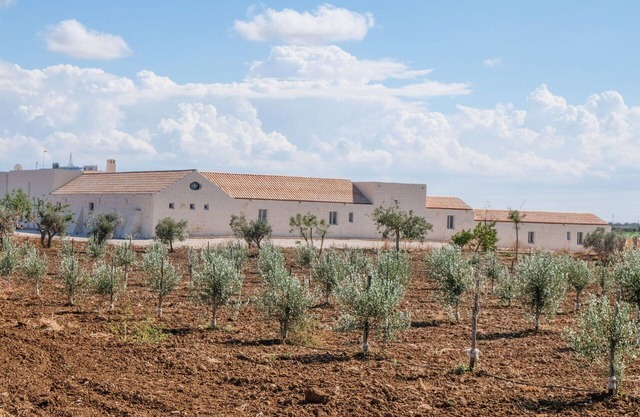 Hotel en Brindisi con 1 habitaciones, capacidad 2