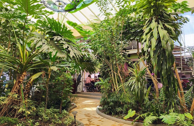 Hotel Jardines del Centro