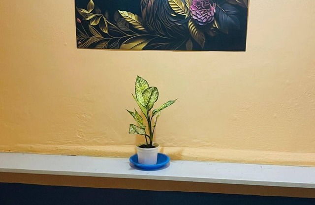 hotel khana 100